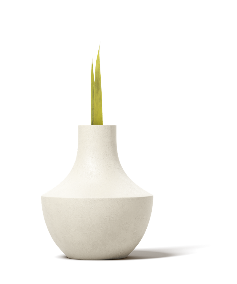 vase